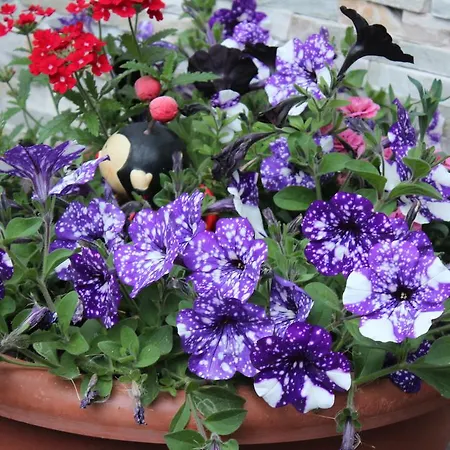 Gaestehaus Stefan Klotz Apartamento *